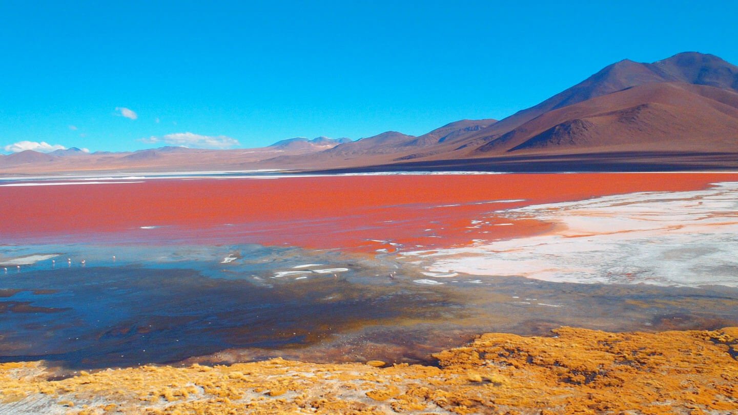 Antofagasta de la Sierra