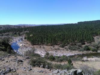 cabañas El Jaguel