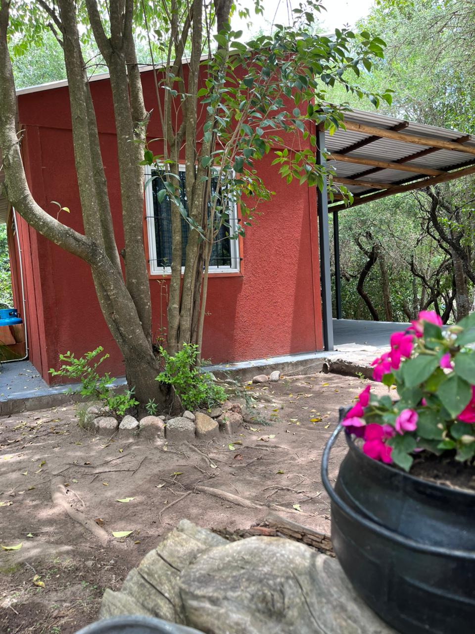 d6bbc49b-2a9f-4e18-a112-3963e535dcba