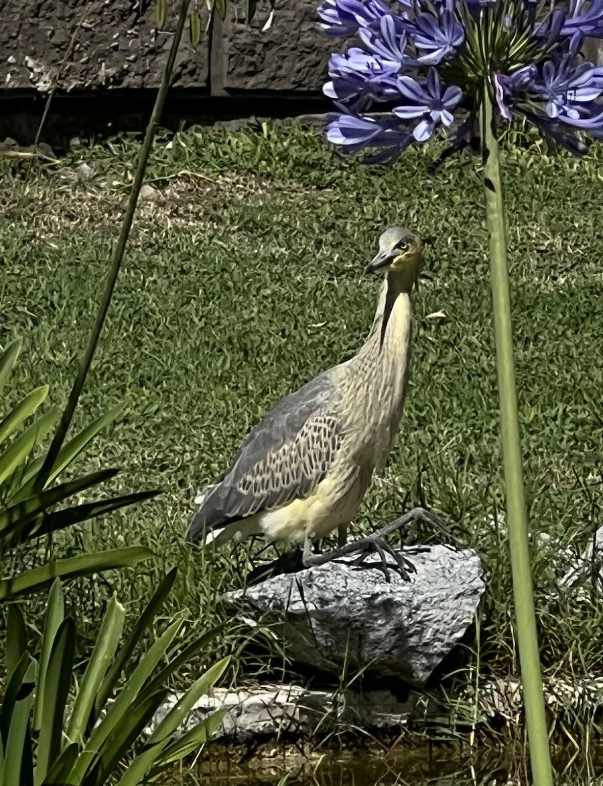 VILLA GESELL CON NIÑOS