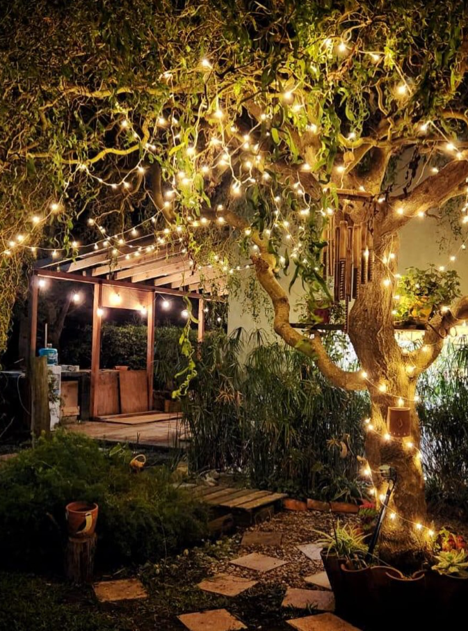 costa atlantica alojamiento