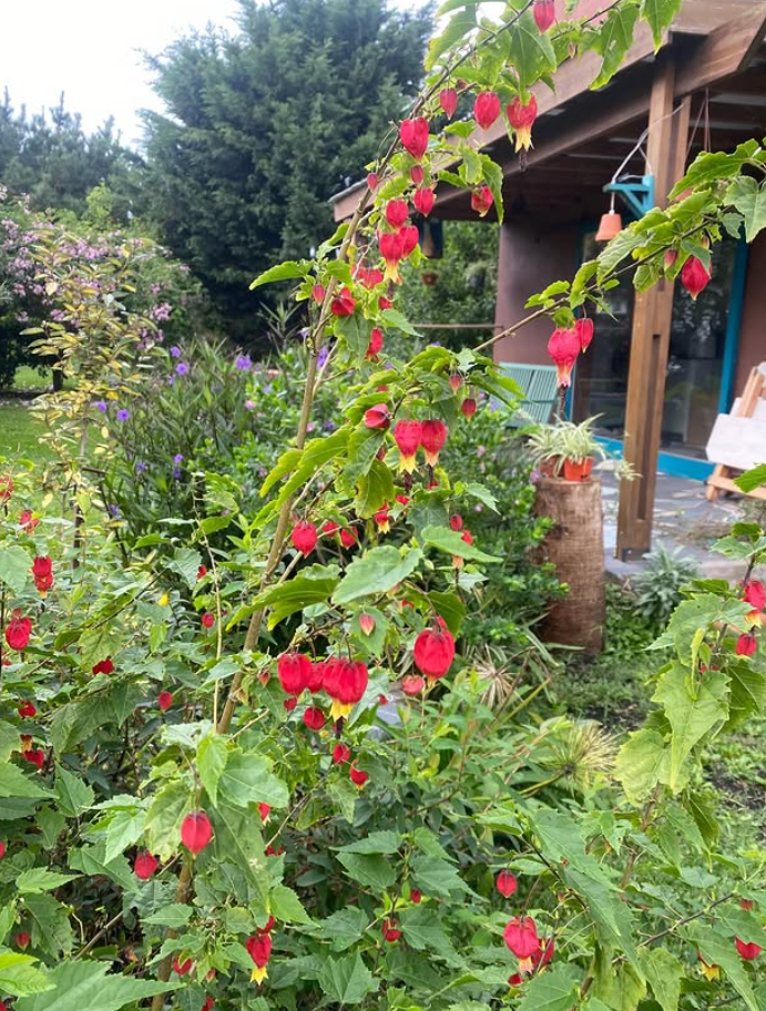 costa atlantica turismo