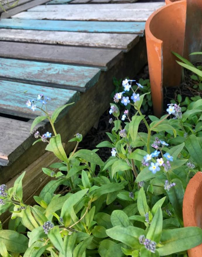 santa clara del mar alojamiento