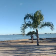 CHASCOMUS