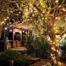 costa atlantica alojamiento